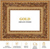 Ornate Gold Picture Frame 48x96 -Wall Picture Frame, Vintage Ornate Antique Style, Popular Picture Frame Sizes, Gold & Silver, 3348