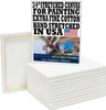 Stretched Canvas for Painting 24x24 5 PK 3/4" Extra Fine Smooth Portrait Cotton Canvas 13 Oz, Triple Primed, Gallery Wrapped, Artist Canvas — image 1