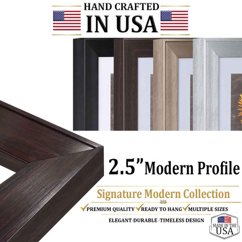 12x36 Picture Frame - Modern 2.5" Wall Poster Frame & Canvas Frame, Black Brown Silver Gold Picture Frames, 631-II