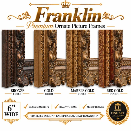 20x24 Ornate Picture Frame - 6-Inch Franklin European Royal Vintage Antique Style Frame