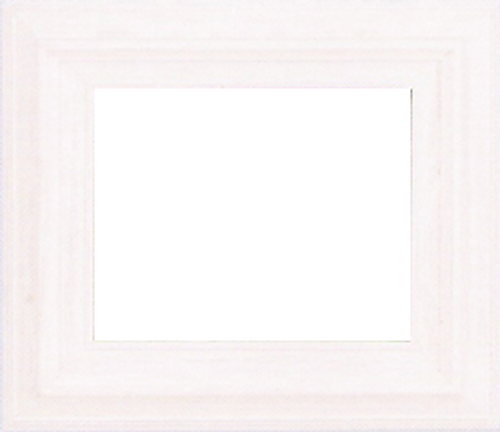 3 Inch Econo Wood Frames With Wood Liners: 14X20* 3 Inch Econo Wood Frames With Wood Liners: 14X20*