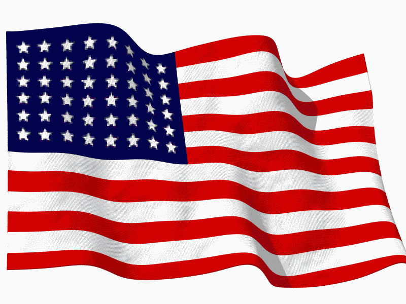usa.gif