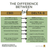 What's the difference between CBD and Delta-8?