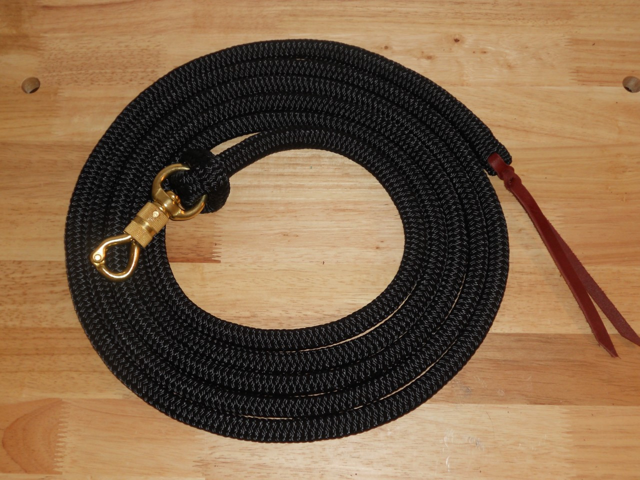 20 ft lead rope