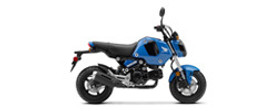 Grom / MSX125