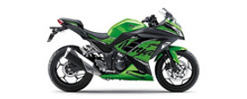 Ninja 300
