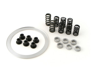Buy Clutch Cushion Kit ZX-10R (04-26) SKU: 270617 at the price of US$ 279 | BrocksPerformance.com