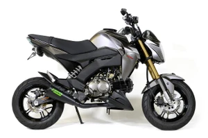 Buy Alien Head 2 Full System Black Cerakote® 12" Muffler Z125 Pro (17-26) SKU: 398568 at the price of US$ 779