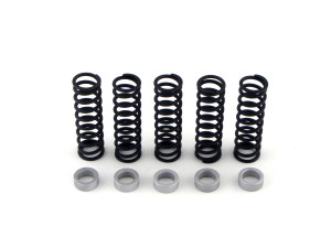 Buy Clutch Spring Kit w/ .280 Thick Spacer ZX-14 (06-11) SKU: 270162 at the price of US$ 72.99 | BrocksPerformance.com