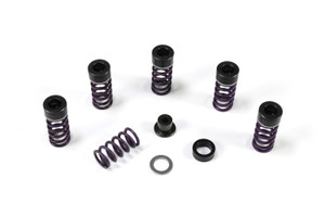 Buy Heavy Duty Clutch Spring Kit ZX-10R (04-26) SKU: 270630 at the price of US$ 149 | BrocksPerformance.com