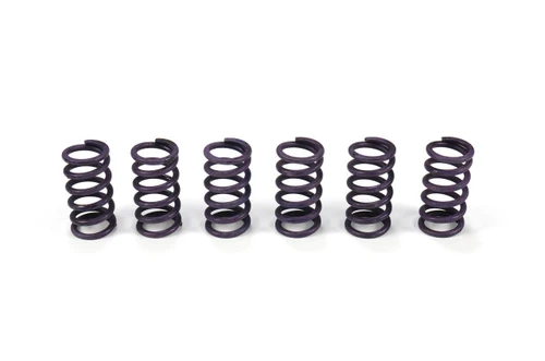 Buy Heavy Duty Clutch Spring Kit Suzuki Hayabusa (99-07) SKU: 270253 at the price of US$ 52.99