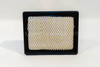 Replacement Air Filter Element for EFI Models