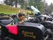 Dogs2Vets Festival April 29, 2018