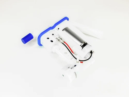 2019 - Current Models