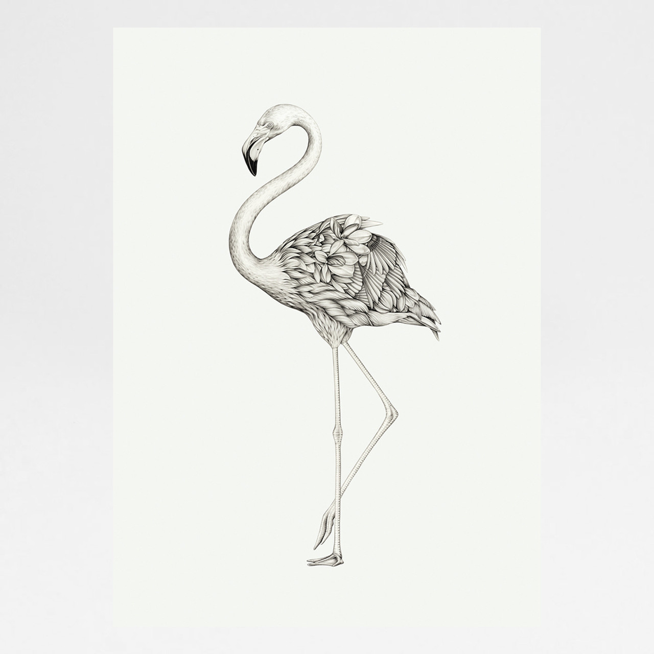 flamingo art print