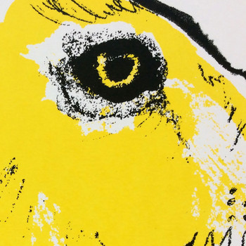 Yellow Hare screen print detail by Tiff Howick at Of Cabbages and Kings