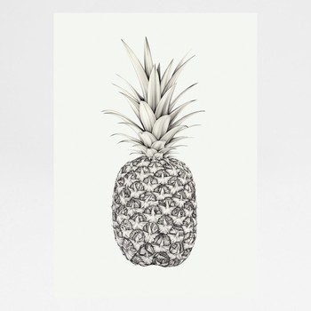 Papillion Pineapple art print by Lauren Mortimer at Of Cabbages and Kings