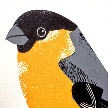 Bullfinch screen print close detail by Chris Andrews at Of Cabbages and Kings