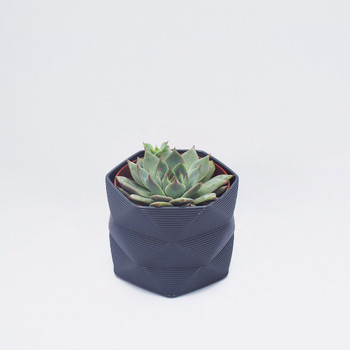 Medium 3D Printed Geometric Planter dark grey by Studio Nilli at Of Cabbages and Kings