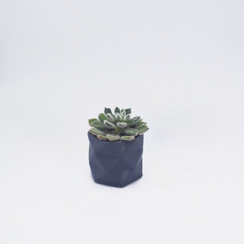Small 3D Printed Geometric Planter dark grey by Studio Nilli at Of Cabbages and Kings