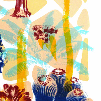 Tropical Flowers screen print detail by Melissa North at Of Cabbages and Kings