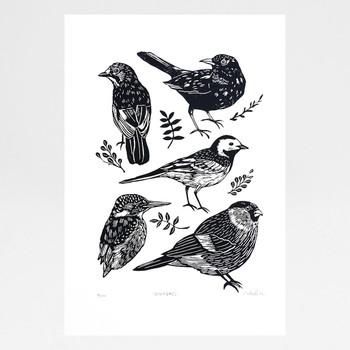 British Birds screen print by Caitlin Parks at Of Cabbages and Kings