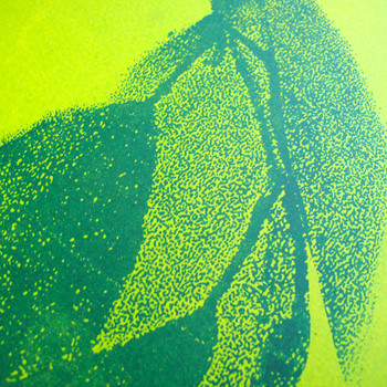 Gold Top screen print detail 03 by Anna Marrow at Of Cabbages and Kings