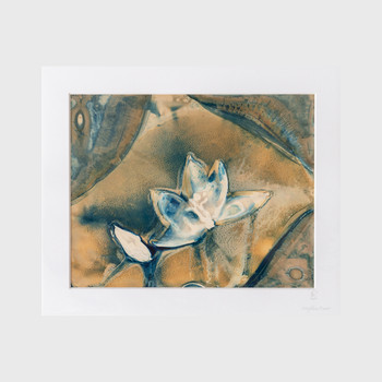 Magnolia - Anjalika Baier - Original Cyanolumen (mounted) - Of Cabbages and Kings