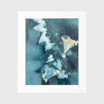 Bindweed - Anjalika Baier - Original Wet Cyanotype (mounted) - Of Cabbages and Kings