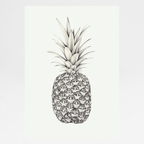 Papillion Pineapple art print by Lauren Mortimer at Of Cabbages and Kings