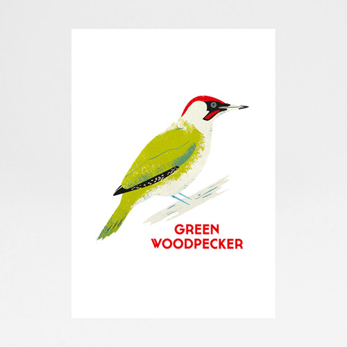 Green Woodpecker screen print by Chris Andrews at Of Cabbages and Kings