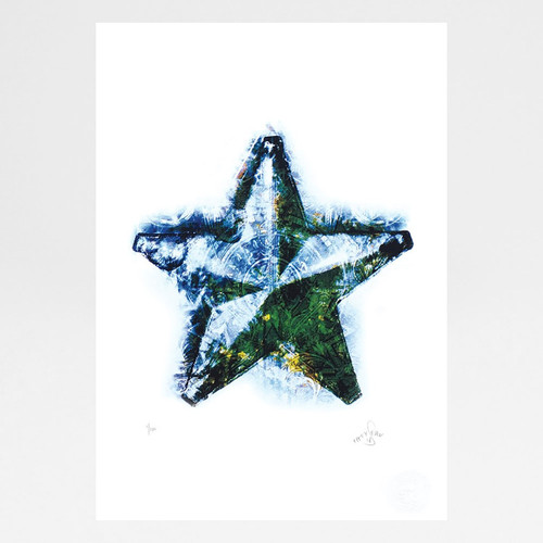 Morning Star screen print by Fiftyseven Design available at Of Cabbages and Kings. 