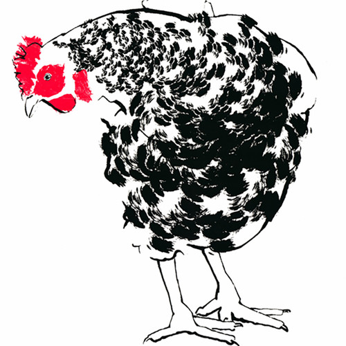 Hen screen print detail by Tiff Howick at Of Cabbages and Kings