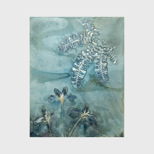 Early Spring - Anjalika Baier - Original Wet Cyanotype - Of Cabbages and Kings