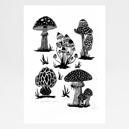 British Mushrooms screen print by Caitlin Parks at Of Cabbages and Kings
