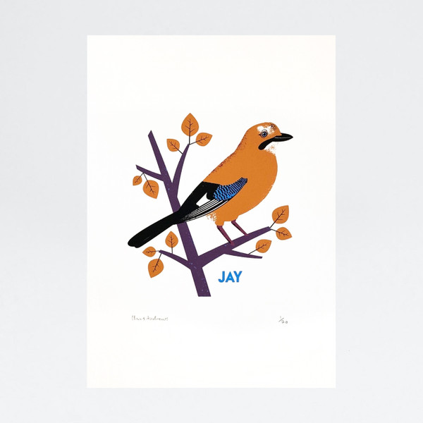 Jay Bird Screen Print by Chris Andrews at Of Cabbages and Kings