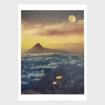 Moonflower Volcano Guatemala Screen Print by David Bradley at Of Cabbages and Kings