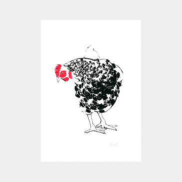 Hen screen print (A4) by Tiff Howick at Of Cabbages and Kings