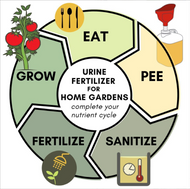 The revolution will be fertilized. Using urine to grow food and ornamentals.  The revolution will be fertilized. Using urine to grow food and ornamentals.