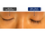 Medisco Biotin Peptide Lash & Brow Growth