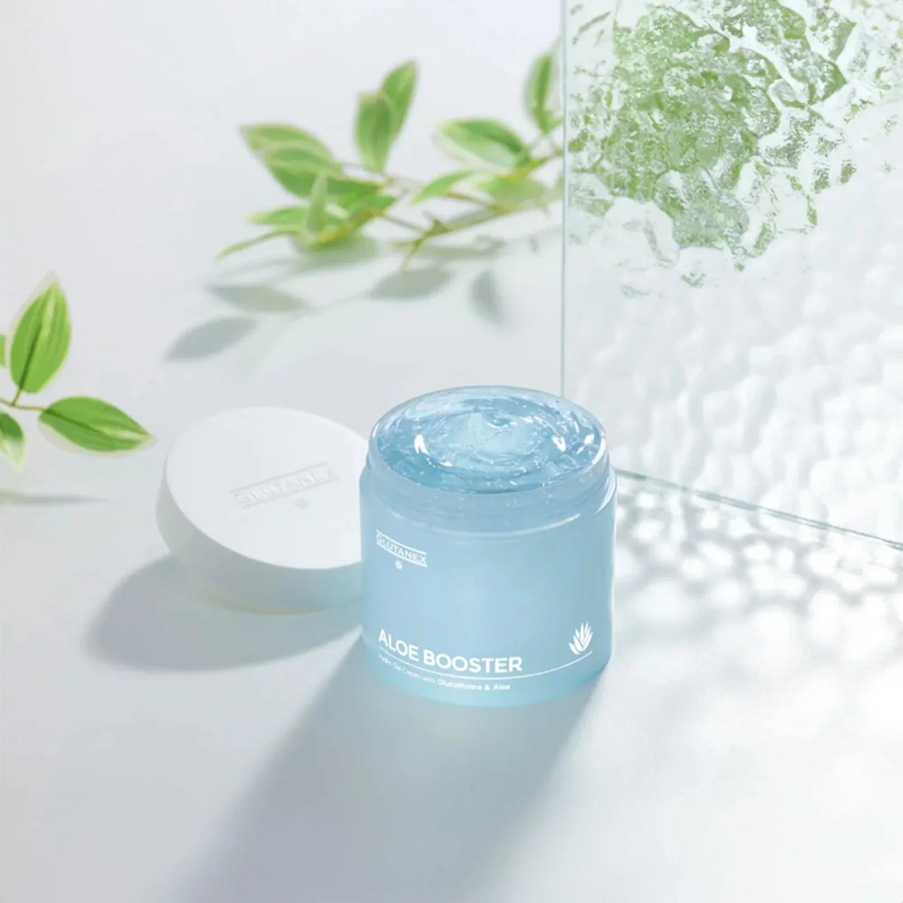 glutanex-aloe-booster-