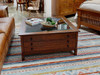 Curio Storage Coffee table