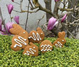   Gingerbread Bunnies