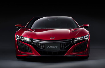 Ant Incidunt erat utlabore