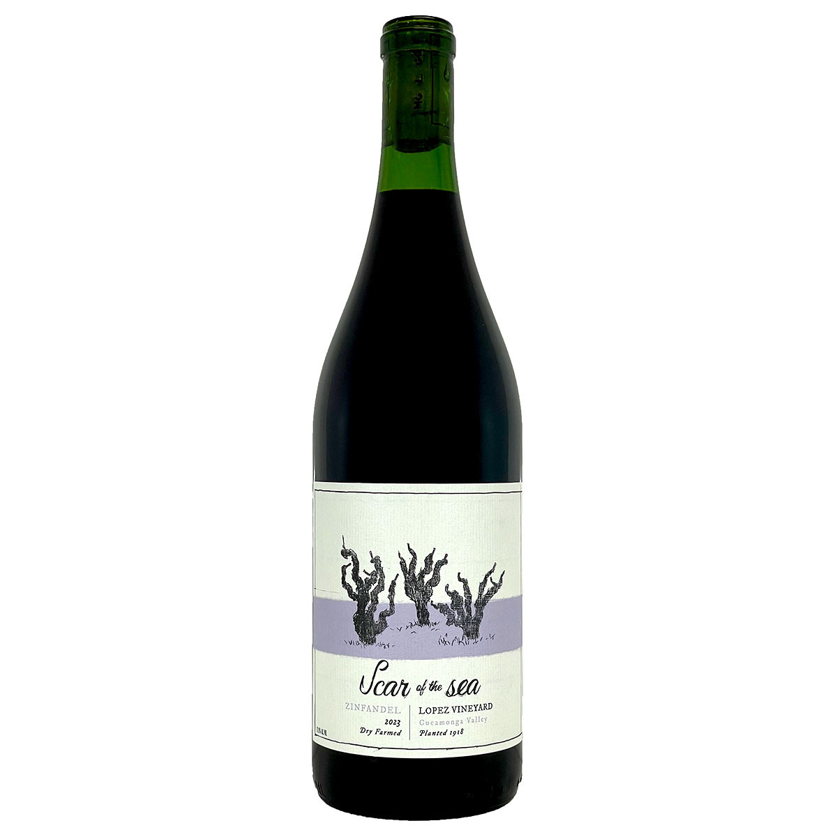 Scar of the Sea 2023 Lopez Vineyard Cucamonga Valley Zinfandel