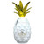 Pinaq Colada Liqueur