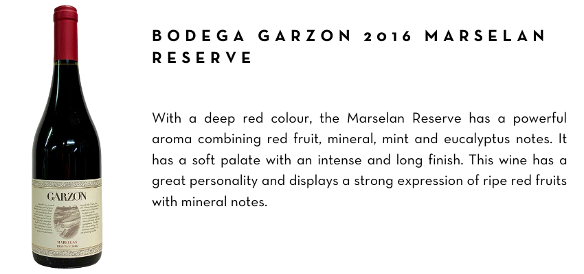 2-bodega-garzon-2016-marselan-reserve.png