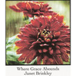 Janet Brinkley - Where Grace Abounds (Audio CD)