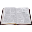 KJV Classic Soul Winner's New Testament - Phillippians 4:4 Page Sample