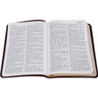 KJV Classic Soul Winner's New Testament - Matthew 4 Page Sample